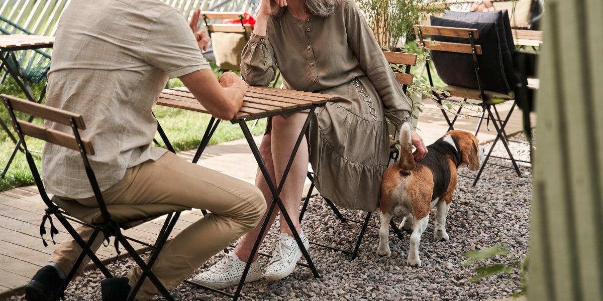 Ist ein Hund im Restaurant erlaubt?